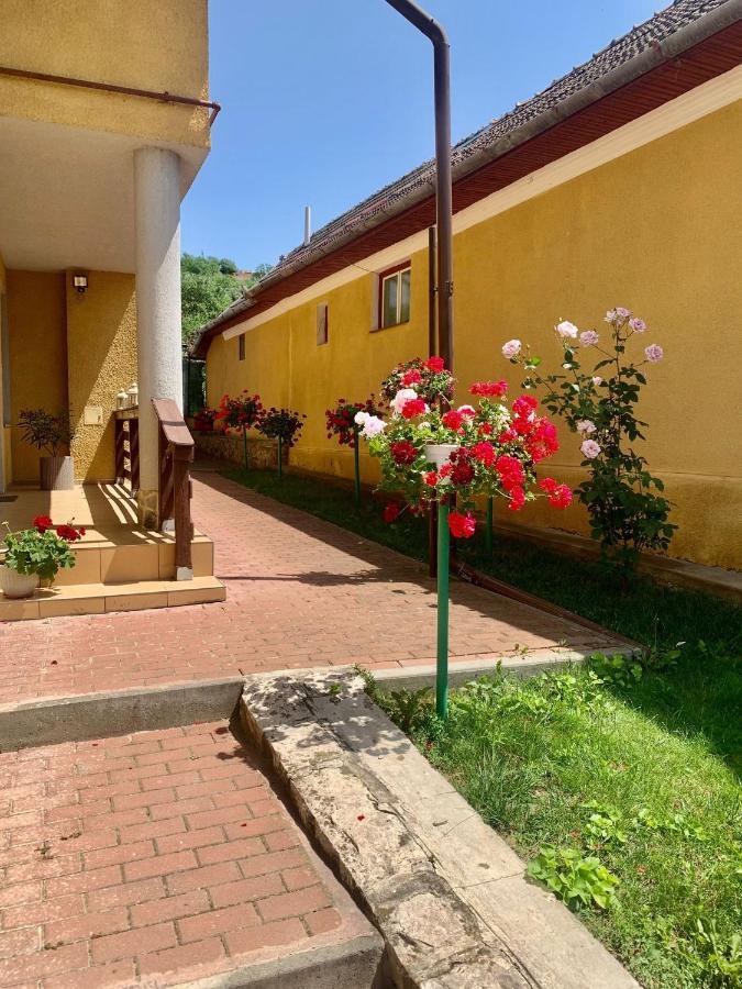Апартаменты Casa Ramona Турда Экстерьер фото